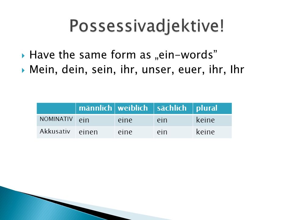 Possessivadjektive! Have the same form as „ein-words