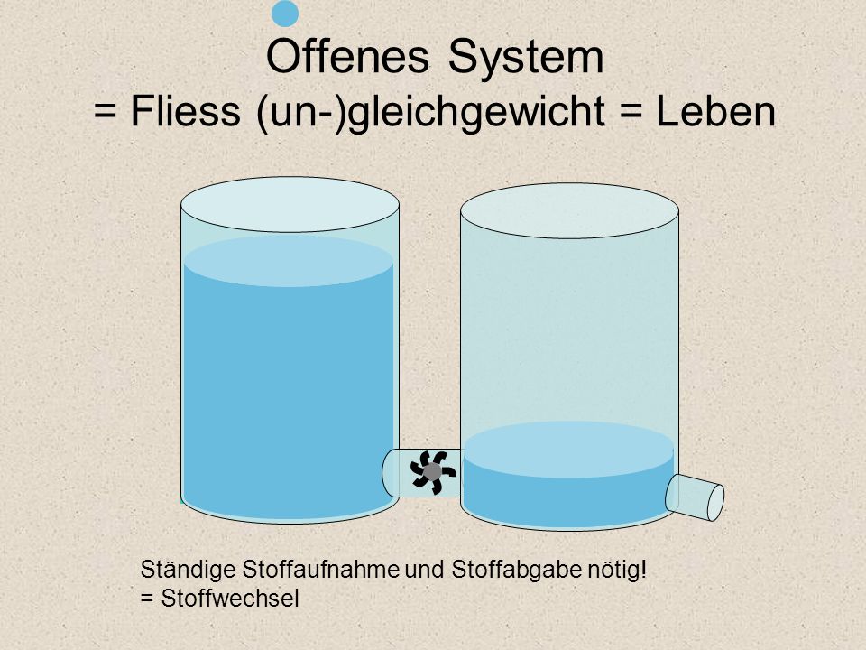 Offenes System = Fliess (un-)gleichgewicht = Leben