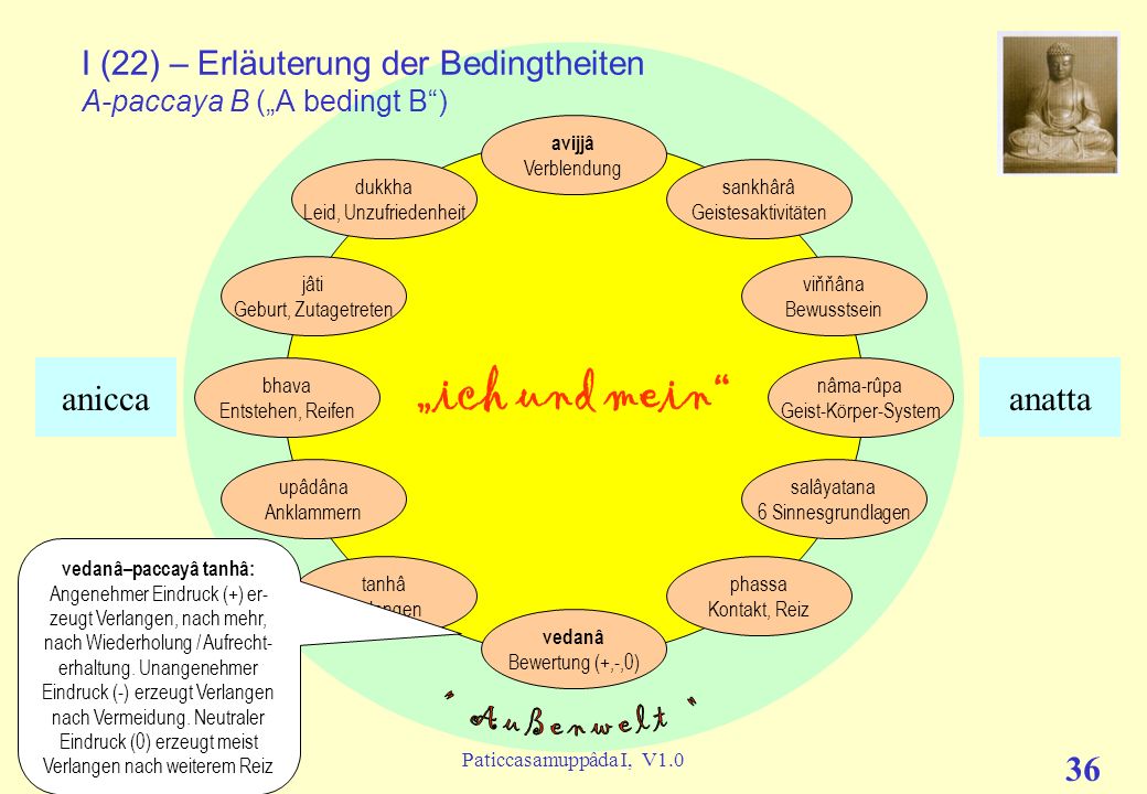I (22) – Erläuterung der Bedingtheiten A-paccaya B („A bedingt B )