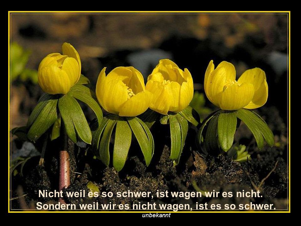 Nicht weil es so schwer, ist wagen wir es nicht
