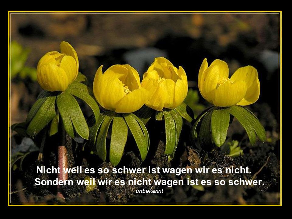 Nicht weil es so schwer ist wagen wir es nicht