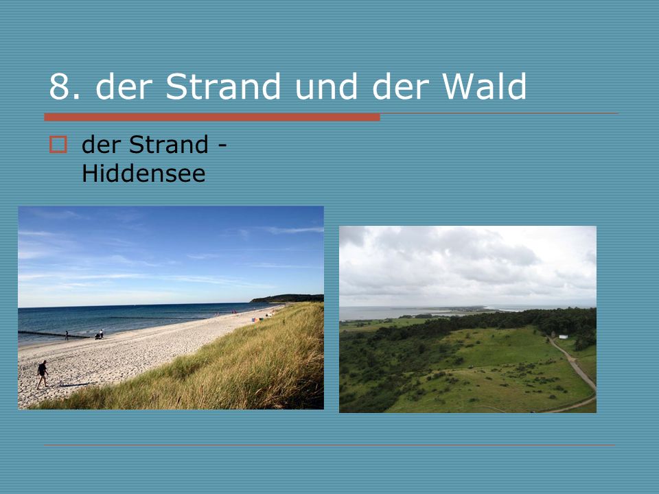 8. der Strand und der Wald der Strand - Hiddensee