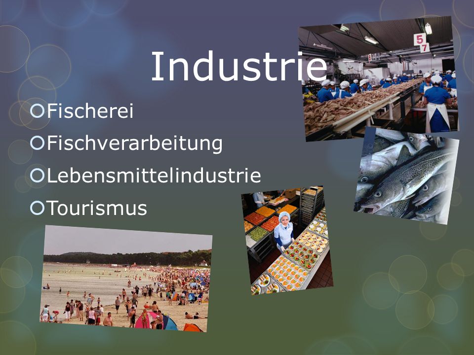 Industrie Fischerei Fischverarbeitung Lebensmittelindustrie Tourismus