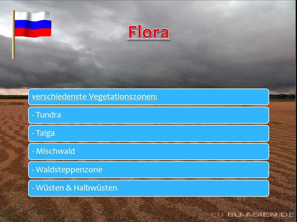 Flora verschiedenste Vegetationszonen: - Tundra - Taiga - Mischwald