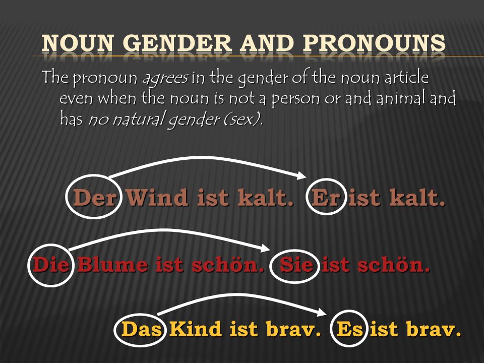 Noun Gender and Pronouns