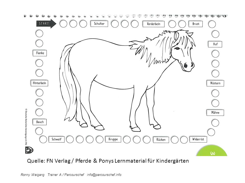 Quelle: FN Verlag / Pferde & Ponys Lernmaterial für Kindergärten