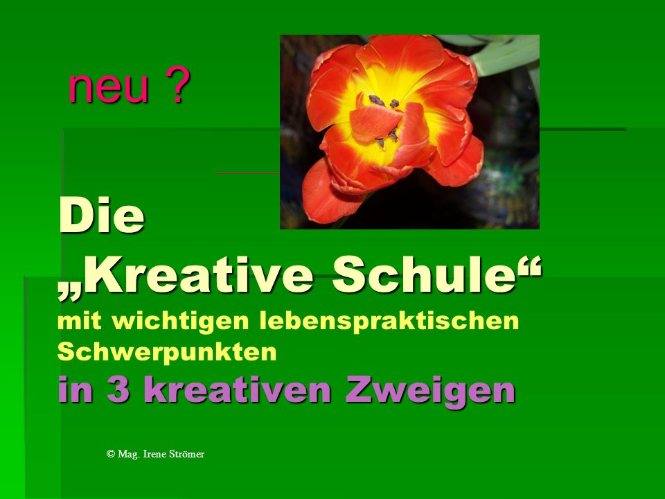 neu Die „Kreative Schule mit wichtigen lebenspraktischen Schwerpunkten in 3 kreativen Zweigen. © Mag. Irene Strömer.
