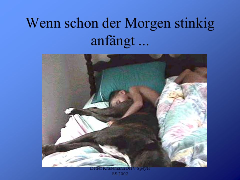 Wenn schon der Morgen stinkig anfängt ...