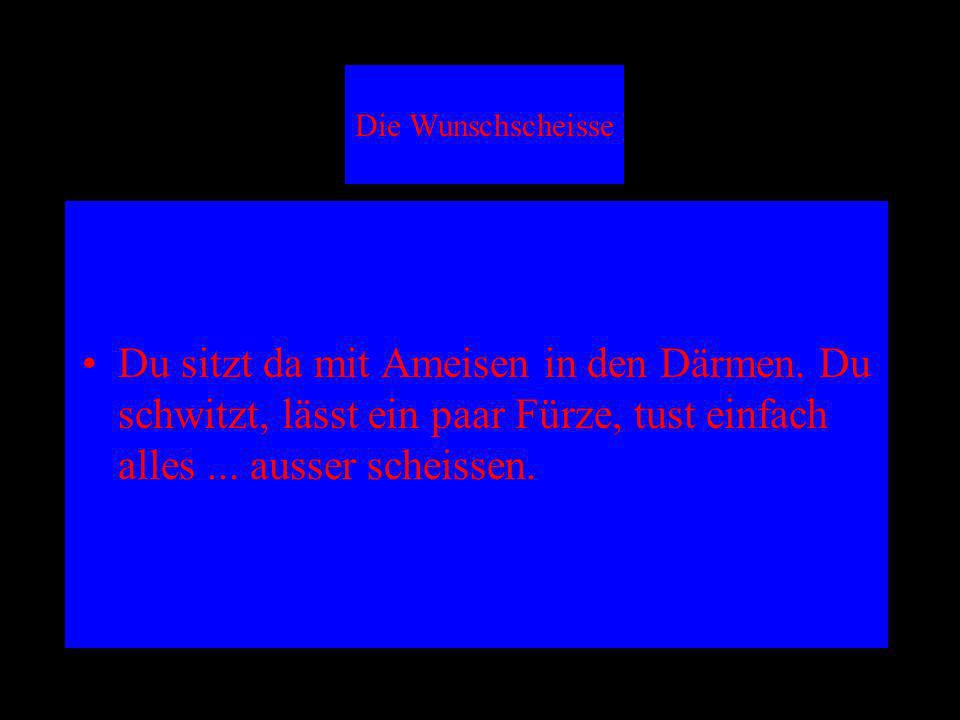 Die Wunschscheisse Du sitzt da mit Ameisen in den Därmen. Du schwitzt, lässt ein paar Fürze, tust einfach alles ... ausser scheissen.