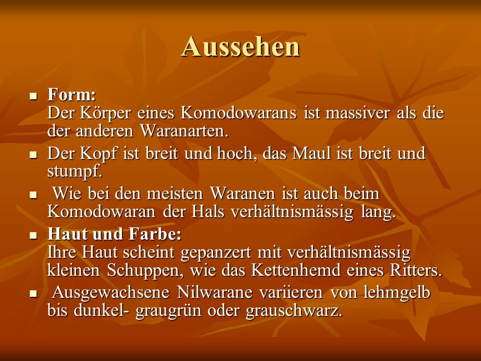 Aussehen Form: Der Körper eines Komodowarans ist massiver als die der anderen Waranarten.