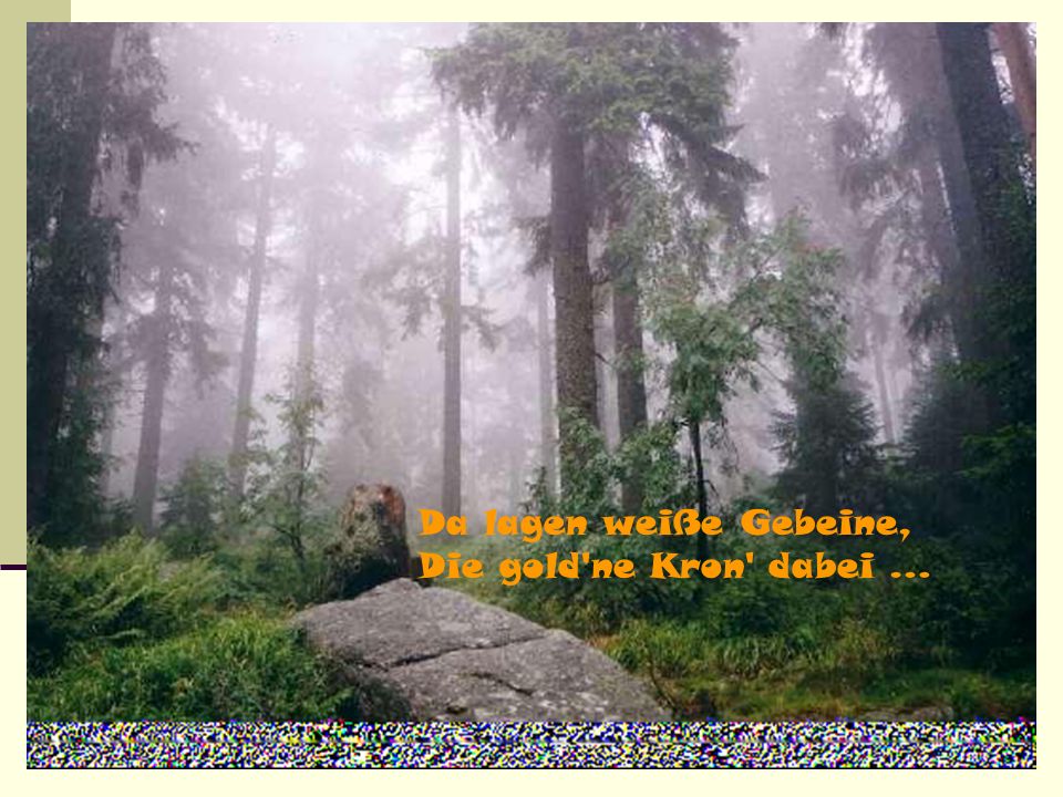 Da lagen weiße Gebeine, Die gold ne Kron dabei …