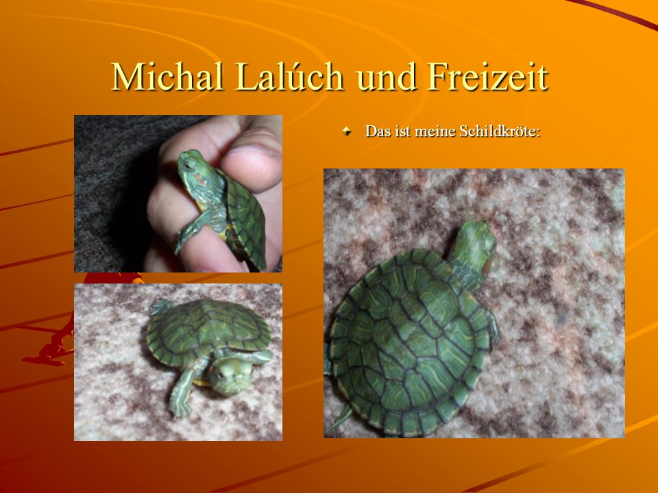 Michal Lalúch und Freizeit