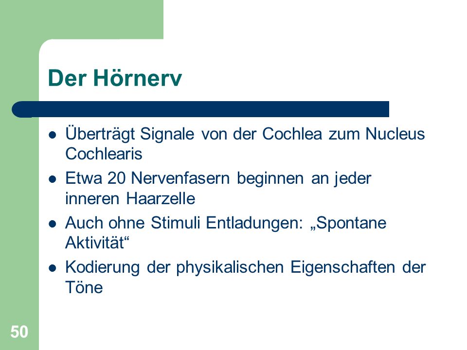 Der Hörnerv Überträgt Signale von der Cochlea zum Nucleus Cochlearis