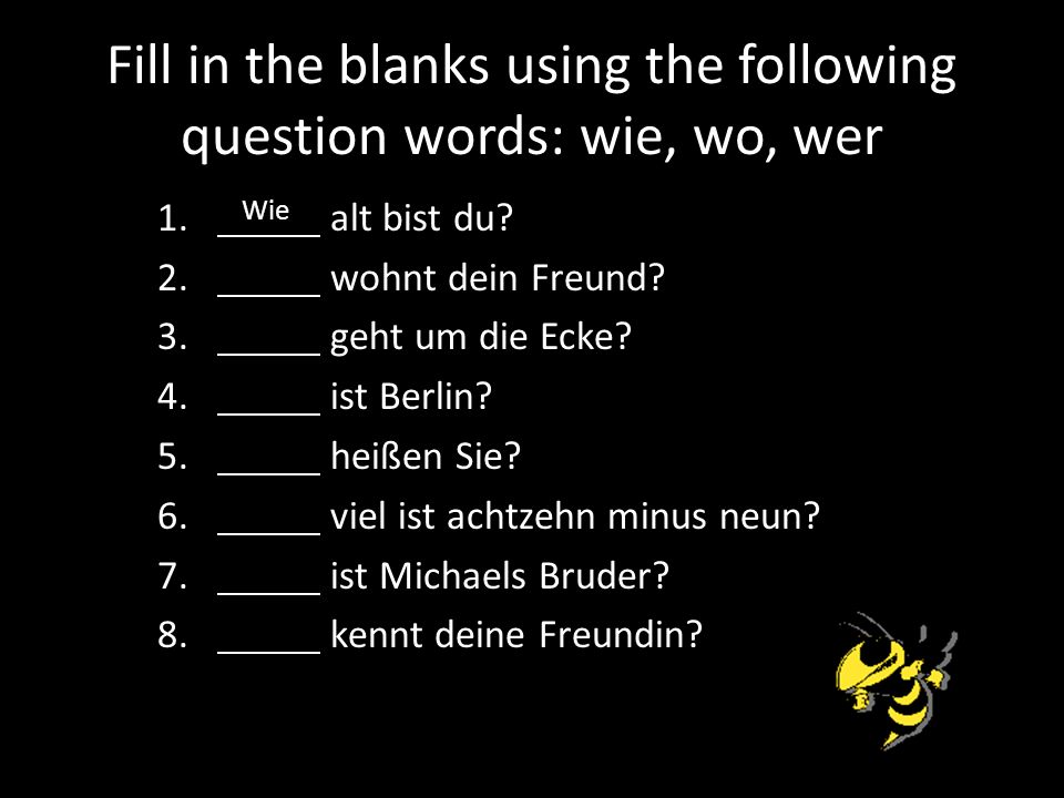 Fill in the blanks using the following question words: wie, wo, wer