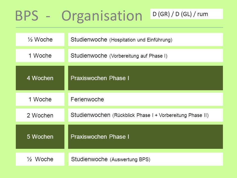 BPS - Organisation D (GR) / D (GL) / rum ½ Woche
