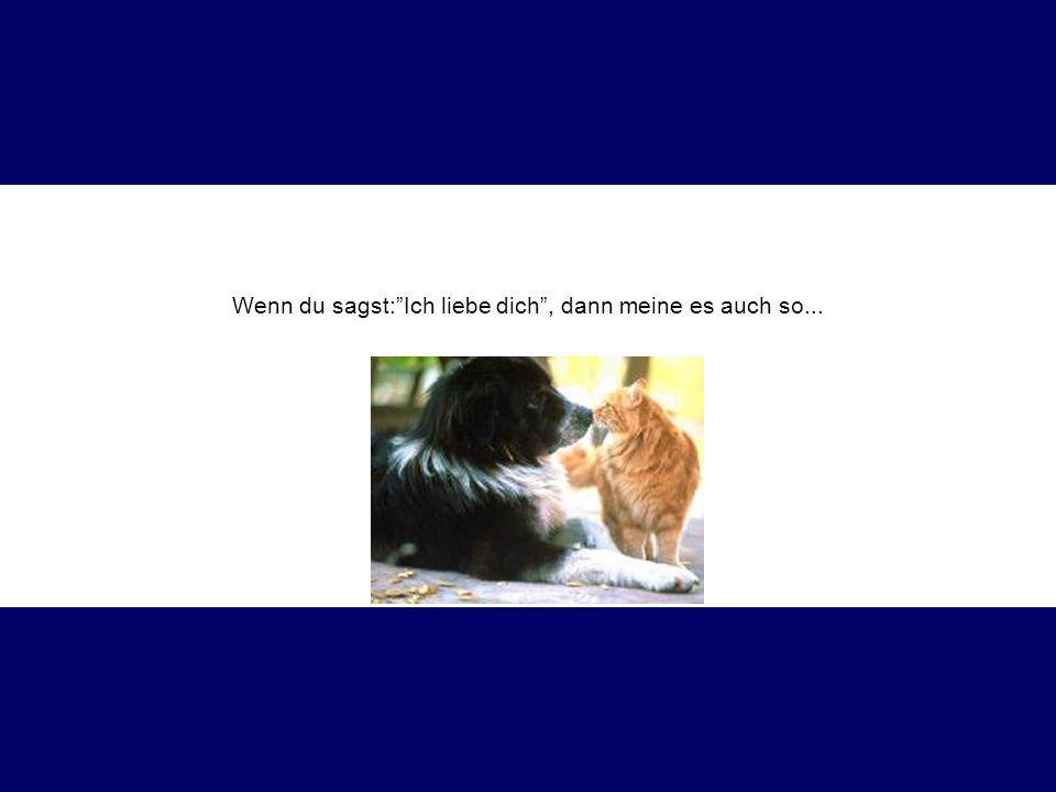 Wenn du sagst: Ich liebe dich , dann meine es auch so...