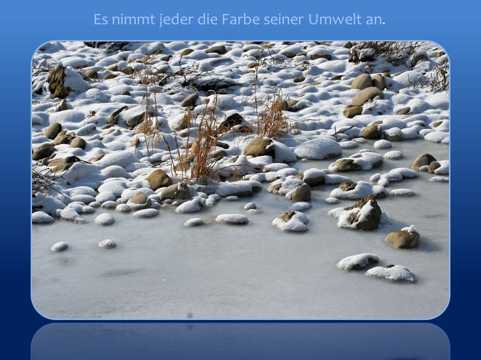 Es nimmt jeder die Farbe seiner Umwelt an.