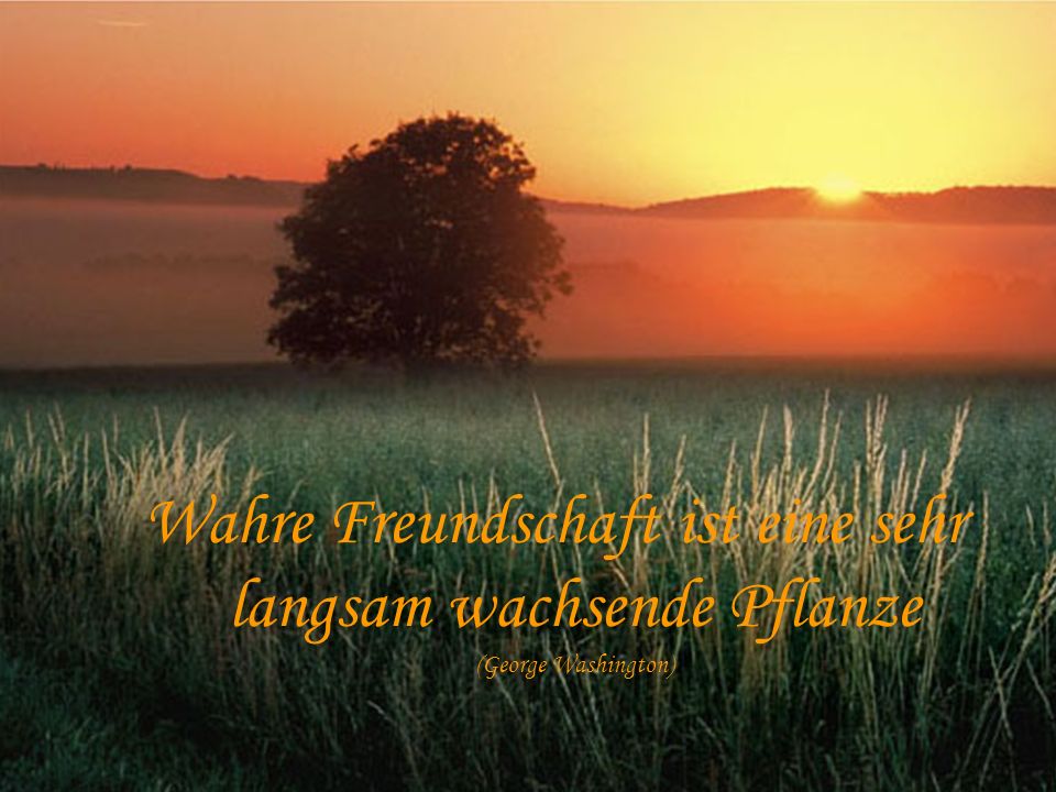 Wahre Freundschaft ist eine sehr langsam wachsende Pflanze (George Washington)