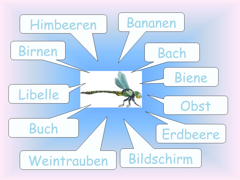Bananen Himbeeren Birnen Bach Biene Libelle Obst Buch Erdbeere Bildschirm Weintrauben