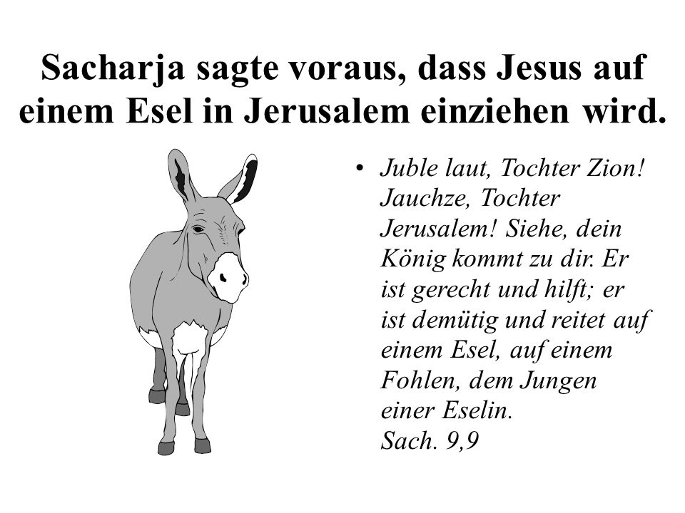 Sacharja sagte voraus, dass Jesus auf einem Esel in Jerusalem einziehen wird.