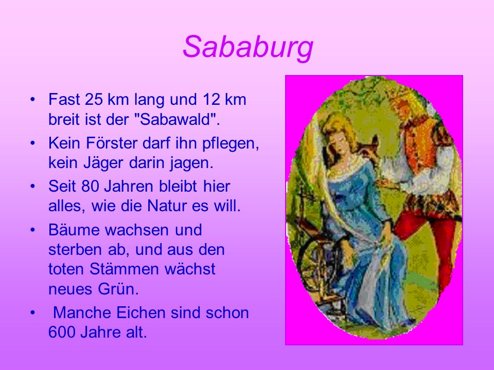 Sababurg Fast 25 km lang und 12 km breit ist der Sabawald .