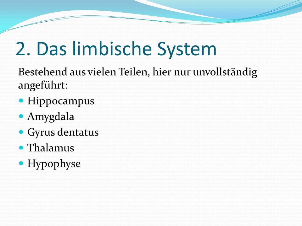 2. Das limbische System Bestehend aus vielen Teilen, hier nur unvollständig angeführt: Hippocampus.