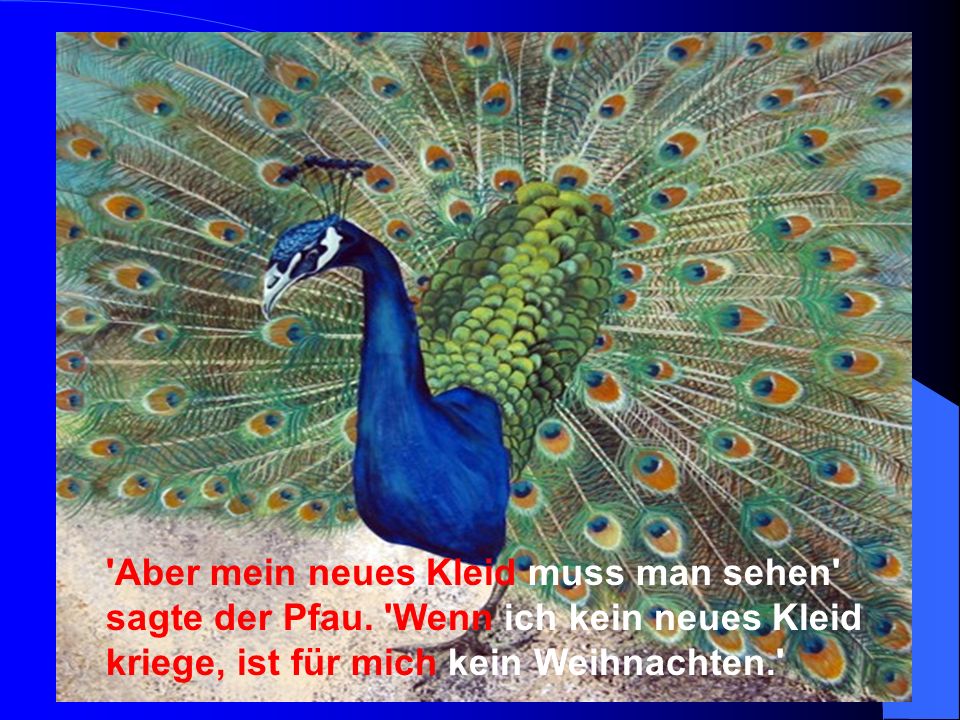 Aber mein neues Kleid muss man sehen sagte der Pfau