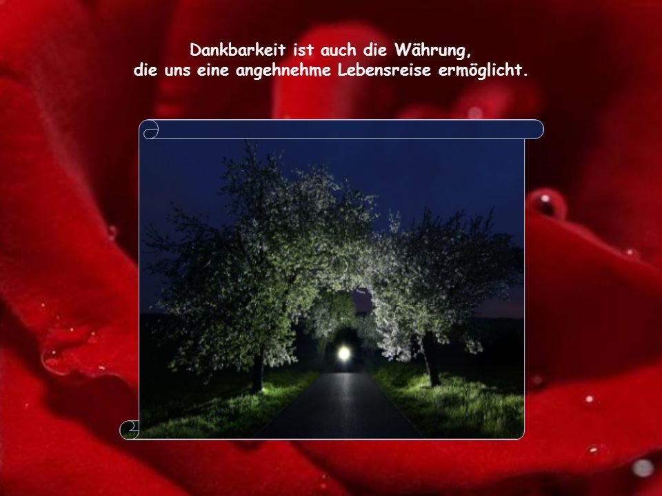 Dankbarkeit ist auch die Währung,
