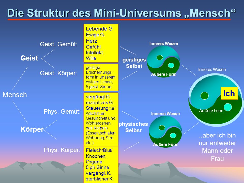 Die Struktur des Mini-Universums „Mensch