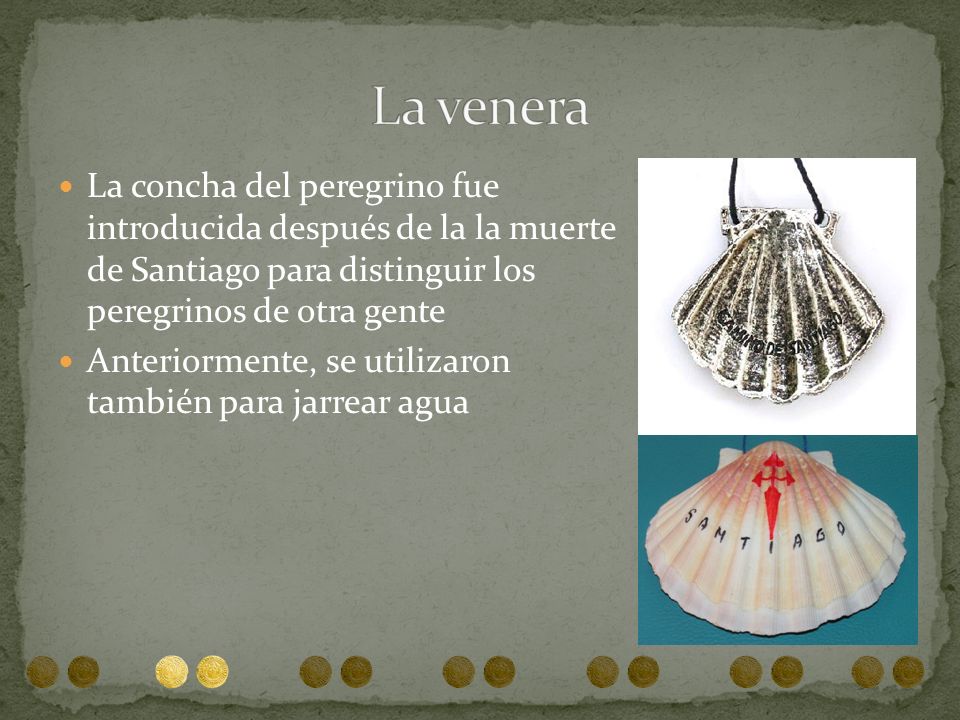 La venera La concha del peregrino fue introducida después de la la muerte de Santiago para distinguir los peregrinos de otra gente.