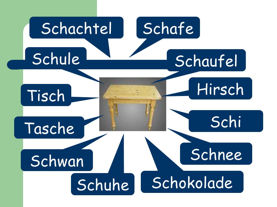 Schachtel Schafe Schule Schaufel Hirsch Tisch Schi Tasche Schnee Schwan Schokolade Schuhe