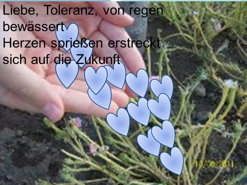Liebe, Toleranz, von regen bewässert Herzen sprießen erstreckt sich auf die Zukunft
