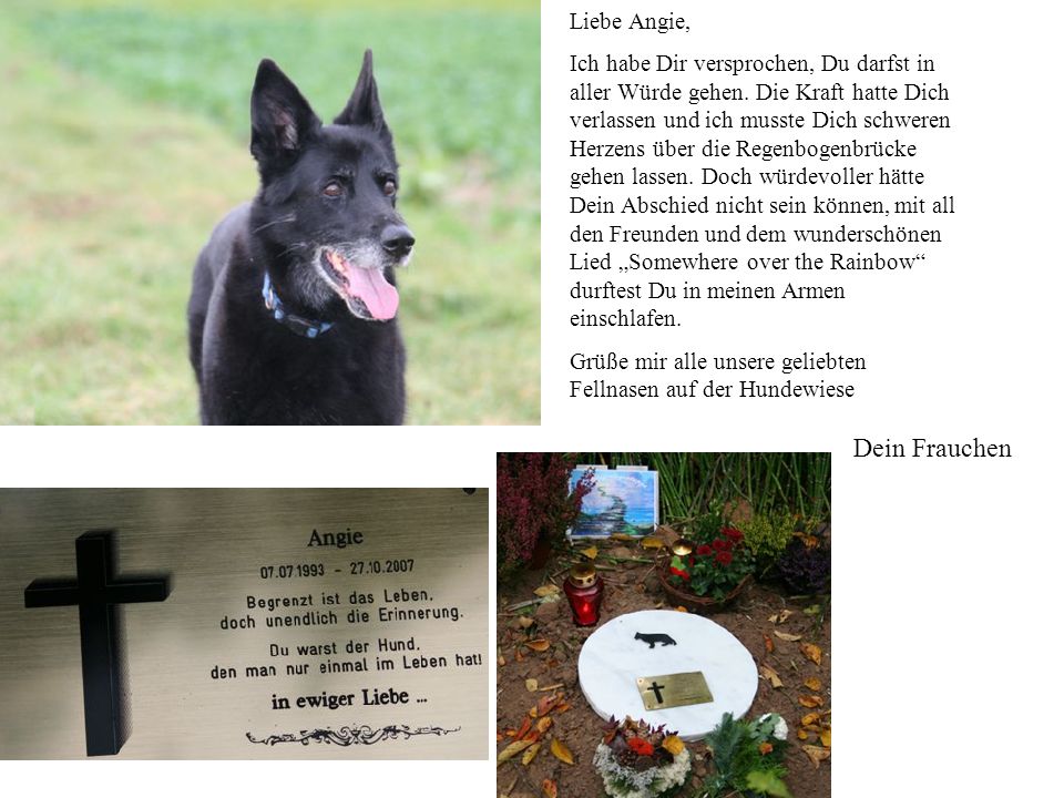 Dein Frauchen Liebe Angie,