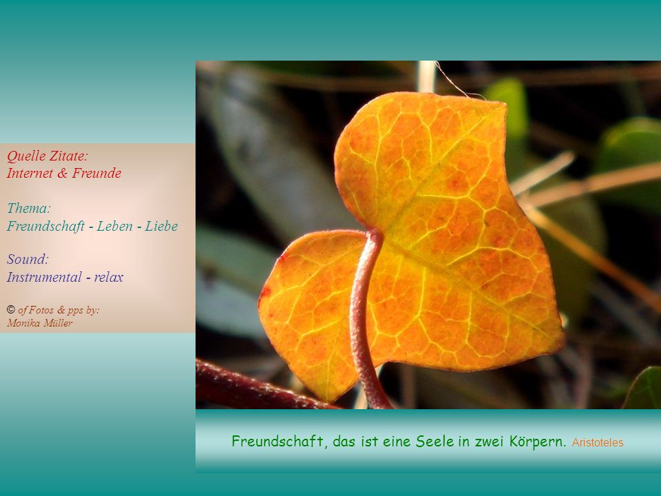 Zitate Leben Aristoteles