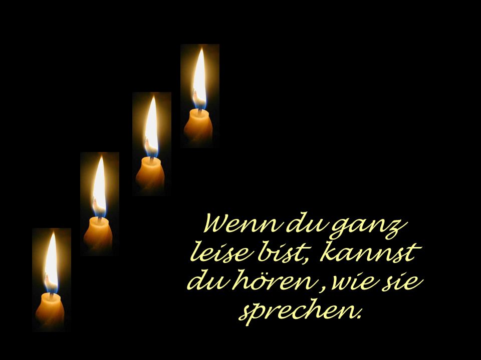 Wenn du ganz leise bist, kannst du hören ,wie sie sprechen.