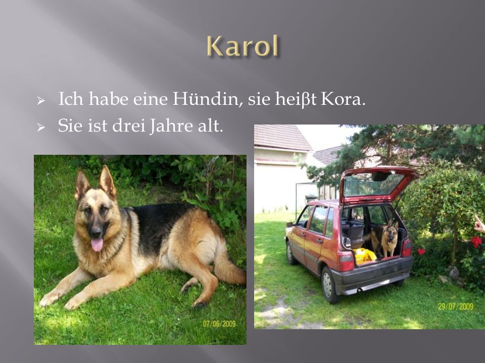 Karol Ich habe eine Hündin, sie heiβt Kora. Sie ist drei Jahre alt.