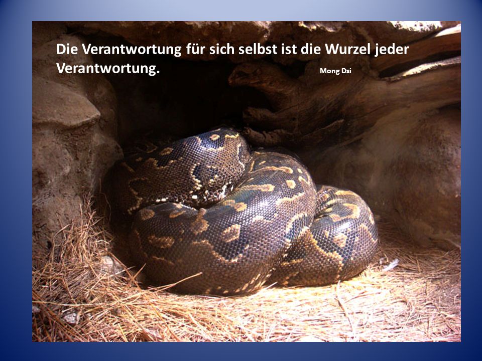 Die Verantwortung für sich selbst ist die Wurzel jeder Verantwortung