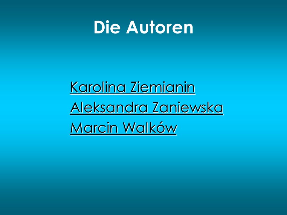 Die Autoren Karolina Ziemianin Aleksandra Zaniewska Marcin Walków