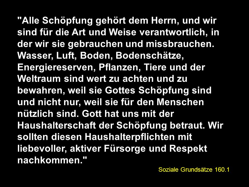 Alle Schöpfung gehört dem Herrn, und wir sind für die Art und Weise verantwortlich, in der wir sie gebrauchen und missbrauchen. Wasser, Luft, Boden, Bodenschätze, Energiereserven, Pflanzen, Tiere und der Weltraum sind wert zu achten und zu bewahren, weil sie Gottes Schöpfung sind und nicht nur, weil sie für den Menschen nützlich sind. Gott hat uns mit der Haushalterschaft der Schöpfung betraut. Wir sollten diesen Haushalterpflichten mit liebevoller, aktiver Fürsorge und Respekt nachkommen.