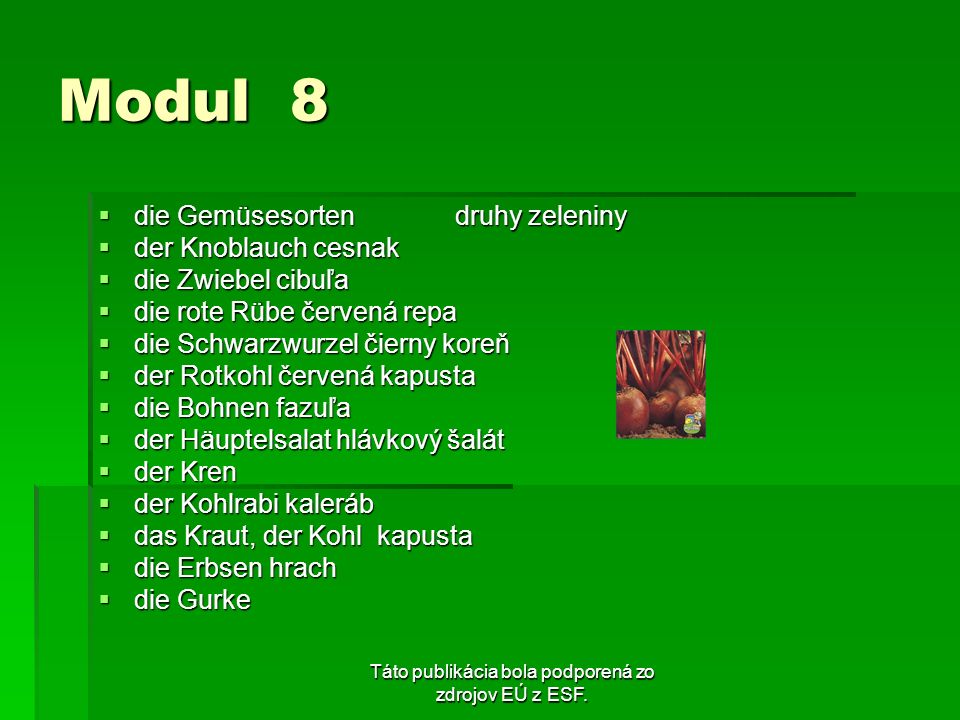 Táto publikácia bola podporená zo zdrojov EÚ z ESF.