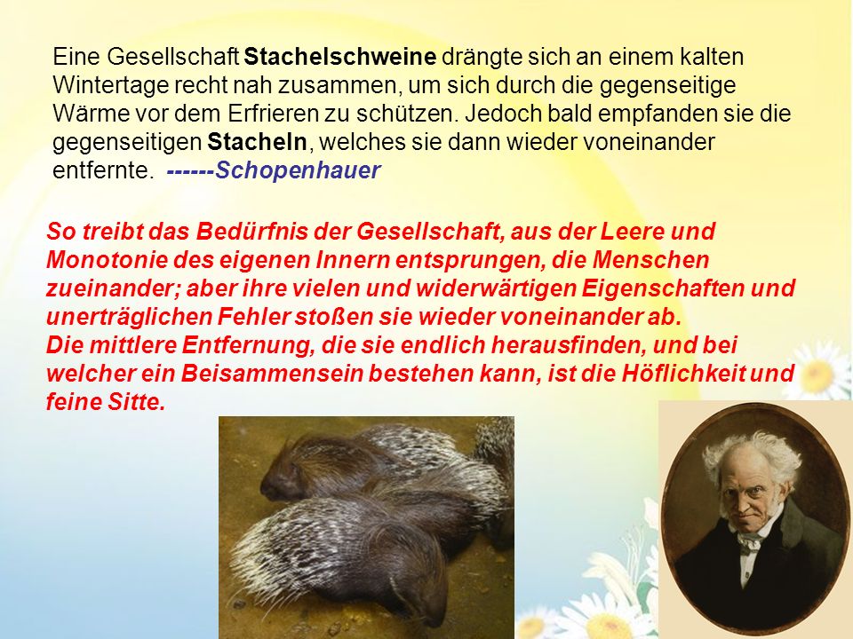 Eine Gesellschaft Stachelschweine drängte sich an einem kalten Wintertage recht nah zusammen, um sich durch die gegenseitige Wärme vor dem Erfrieren zu schützen. Jedoch bald empfanden sie die gegenseitigen Stacheln, welches sie dann wieder voneinander entfernte Schopenhauer