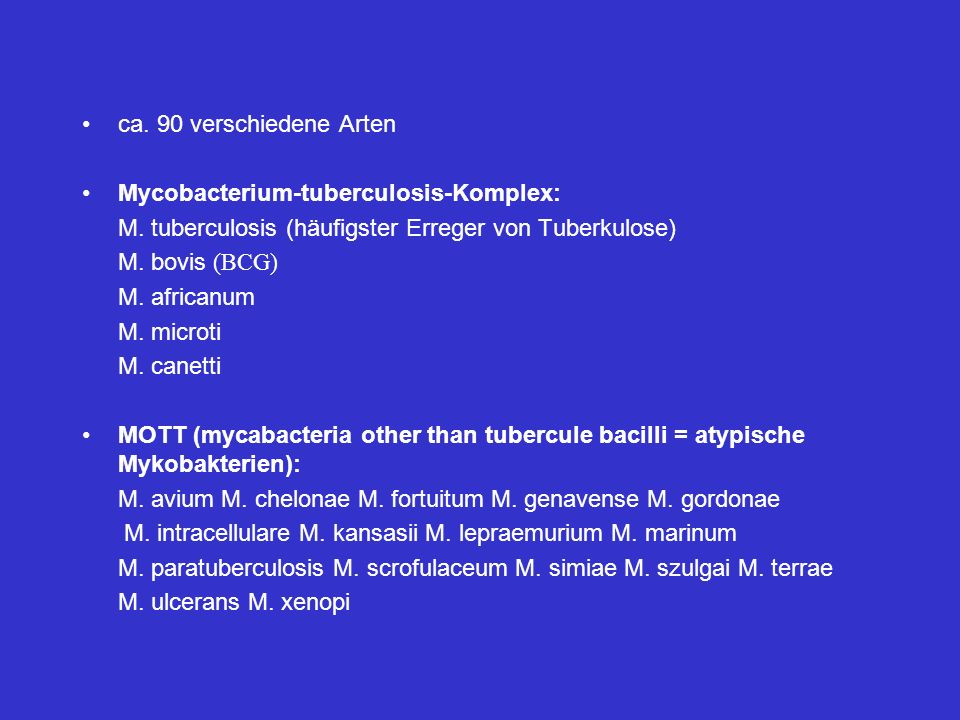 ca. 90 verschiedene Arten Mycobacterium-tuberculosis-Komplex: M. tuberculosis (häufigster Erreger von Tuberkulose)
