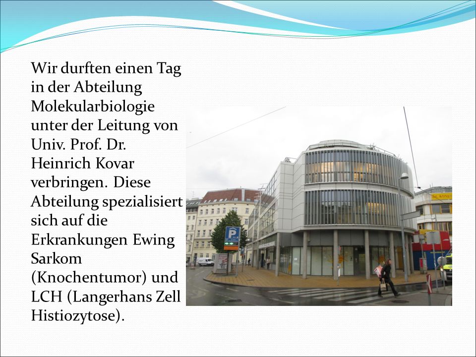 Wir durften einen Tag in der Abteilung Molekularbiologie unter der Leitung von Univ.