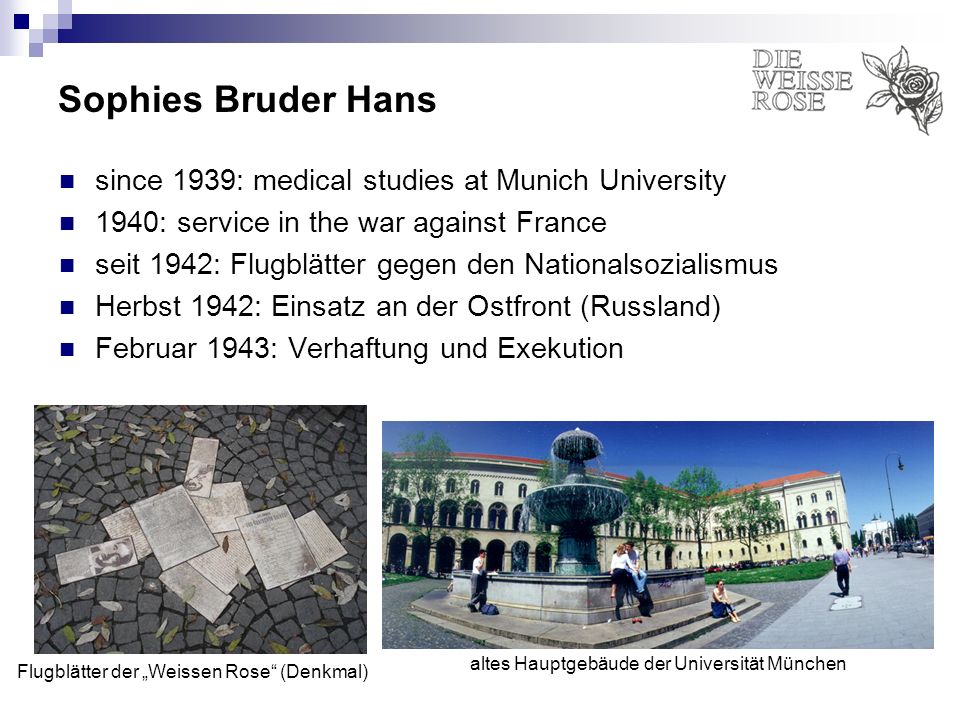 Sophies Bruder Hans since 1939: medical studies at Munich University