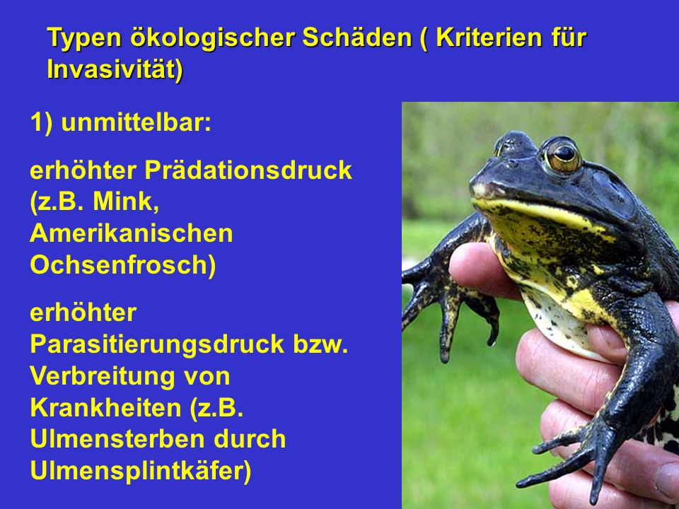 Typen ökologischer Schäden ( Kriterien für Invasivität)