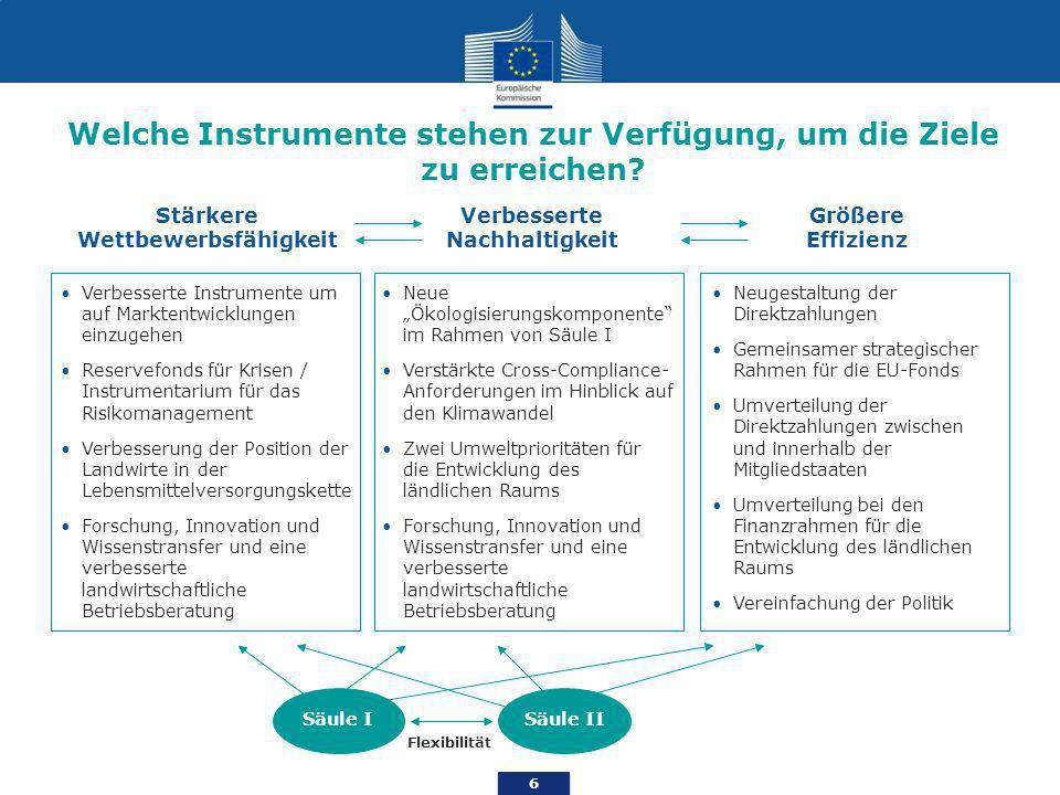 Welche Instrumente stehen zur Verfügung, um die Ziele zu erreichen
