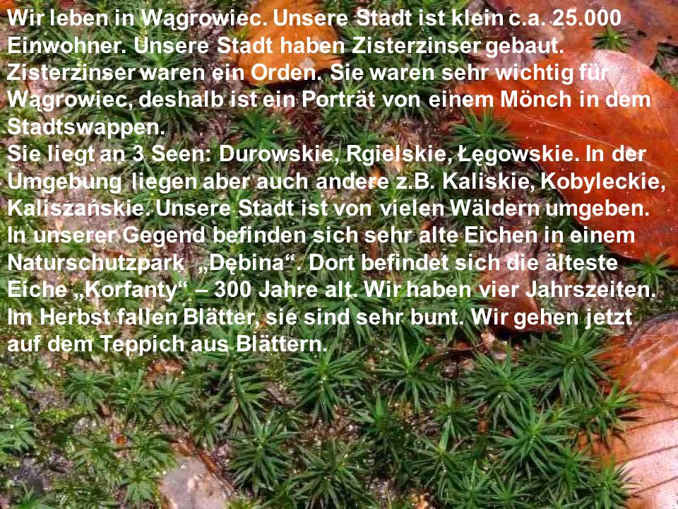 Wir leben in Wągrowiec. Unsere Stadt ist klein c. a Einwohner