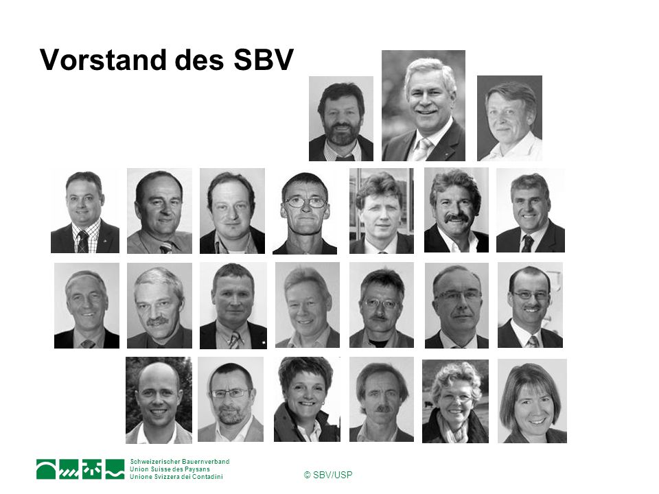 Vorstand des SBV © SBV/USP