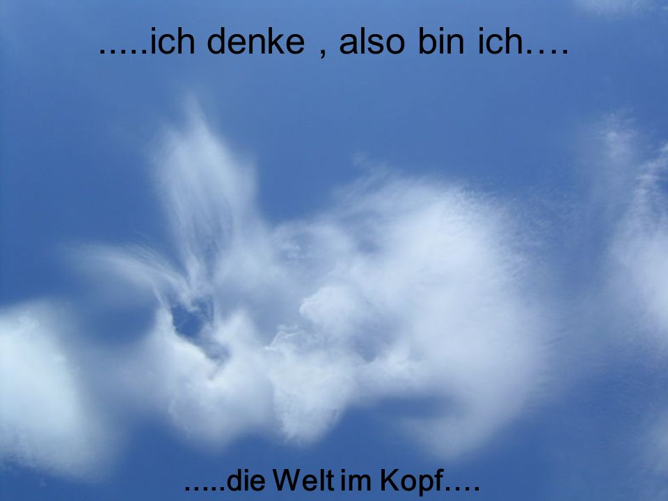 .....ich denke , also bin ich… die Welt im Kopf….