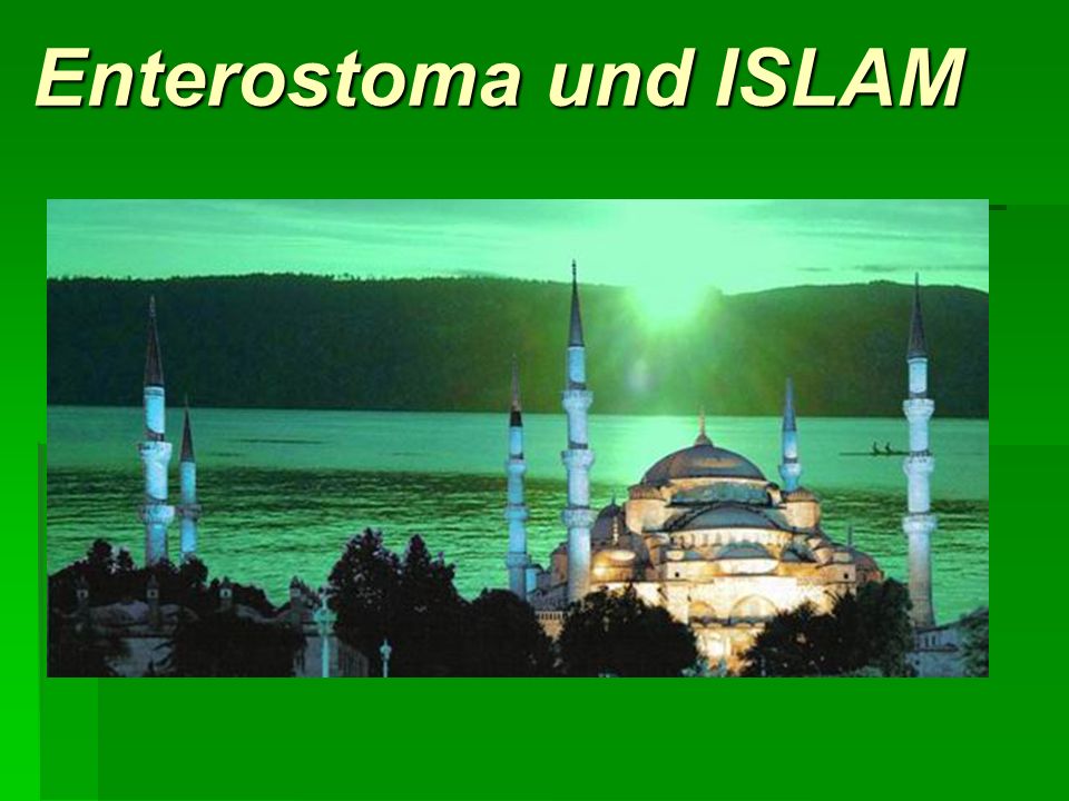 Enterostoma und ISLAM